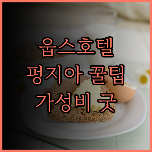 웁스 호텔.. 펑지아 야시장 접근성 