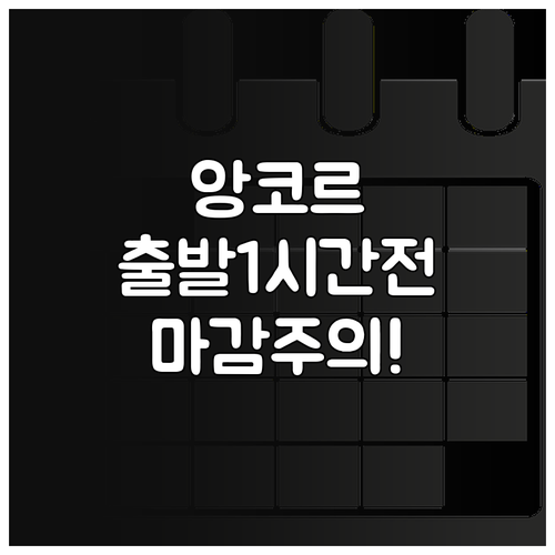 스카이 앙코르 항공 체크인 출발 1시..