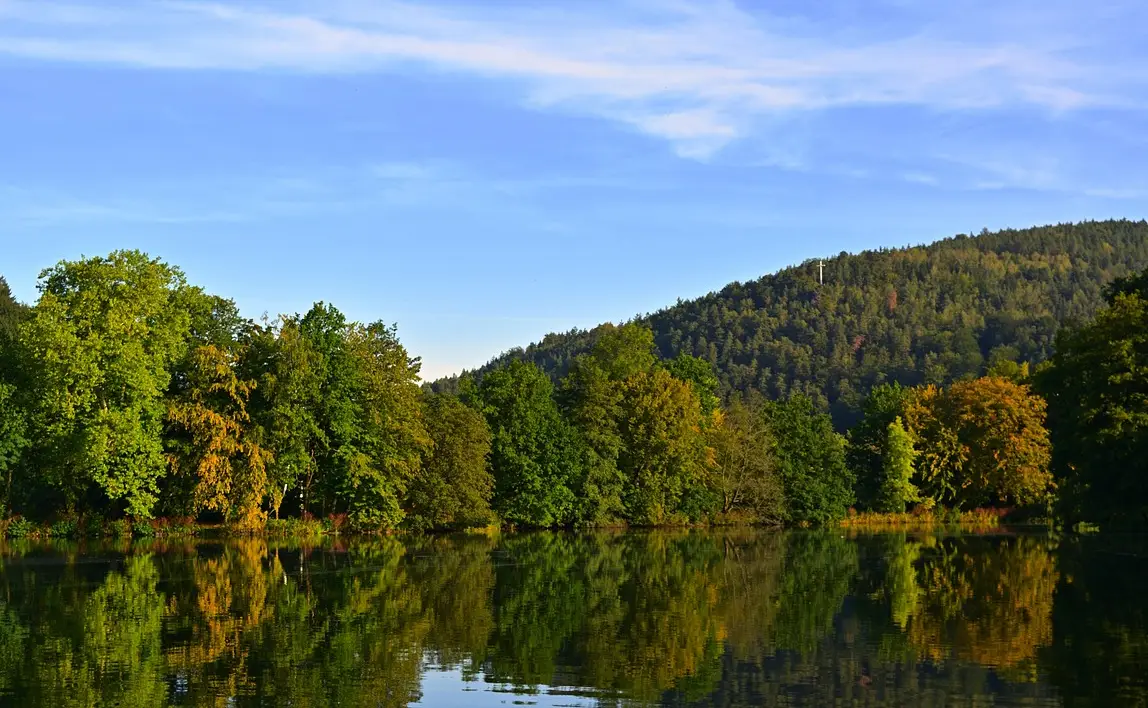 손해평가사 시험일정 시험과목 합격률