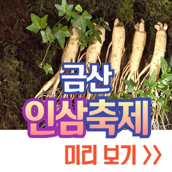 금산 인삼축제
