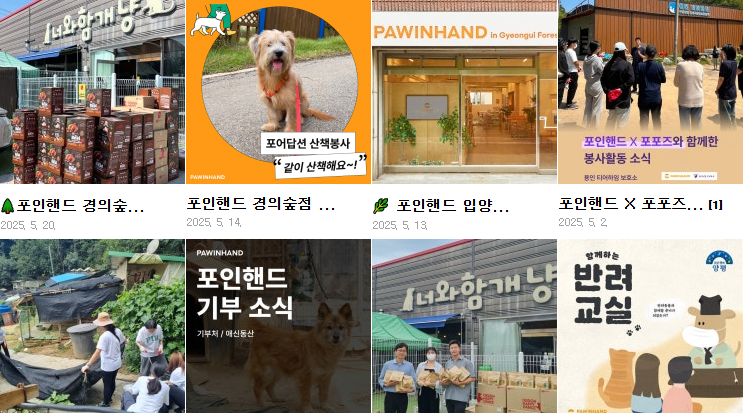 유기견 입양 블로거 사진