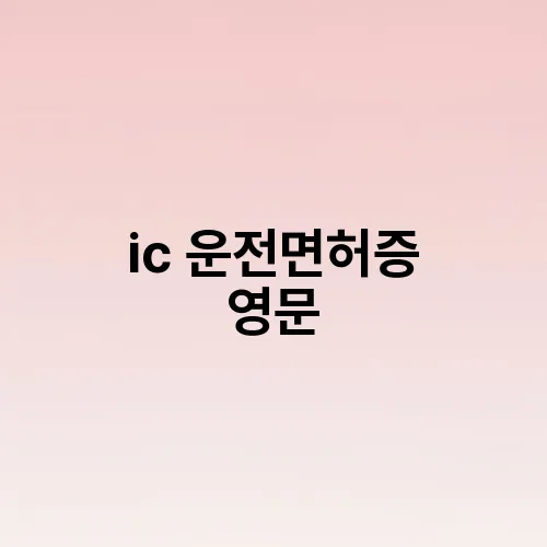 ic 운전면허증 영문