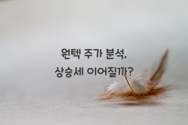원텍 주가