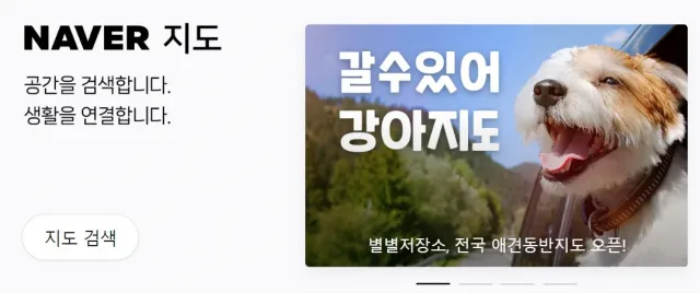 강아지 동반 애견 동반 여행 국내 베스트 10_1
