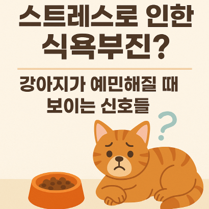 강아지가 밥을 거부한다면? 심리적 식욕부진 원인 총정리
