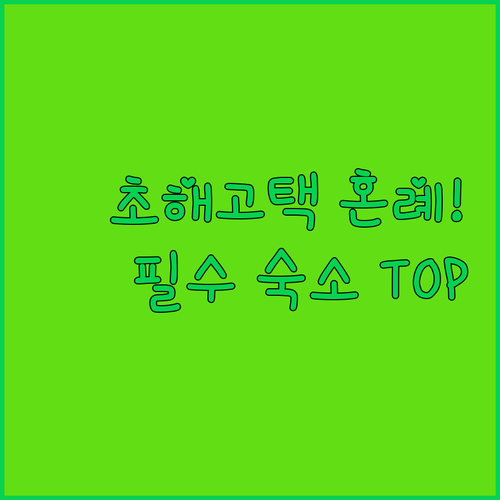 의성 초해고택 전통 혼례 후기 및 근..