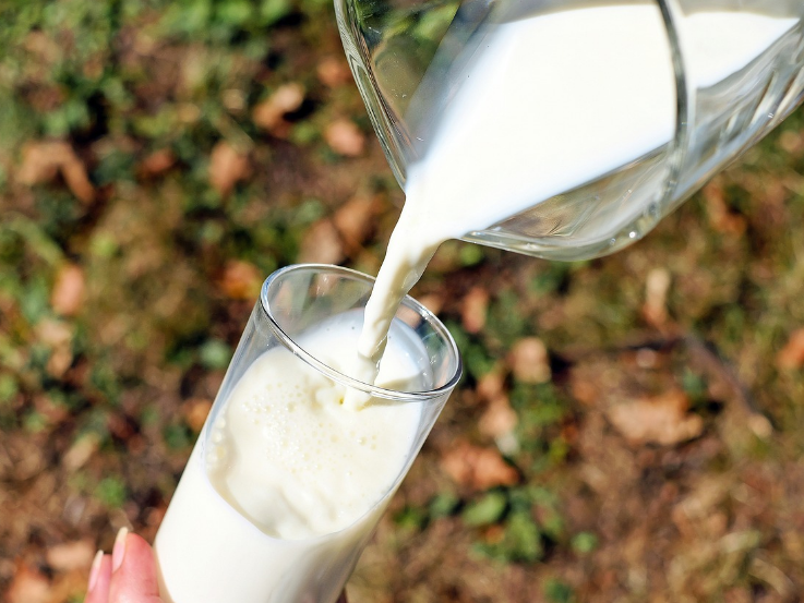 우유를 따르는 모습