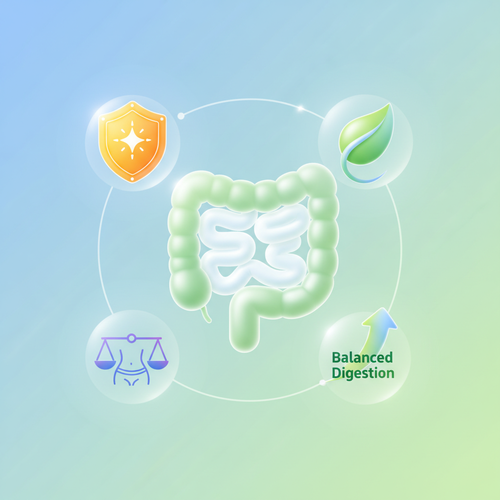 알고 먹으면 더 좋은 양배추의 핵심 효능