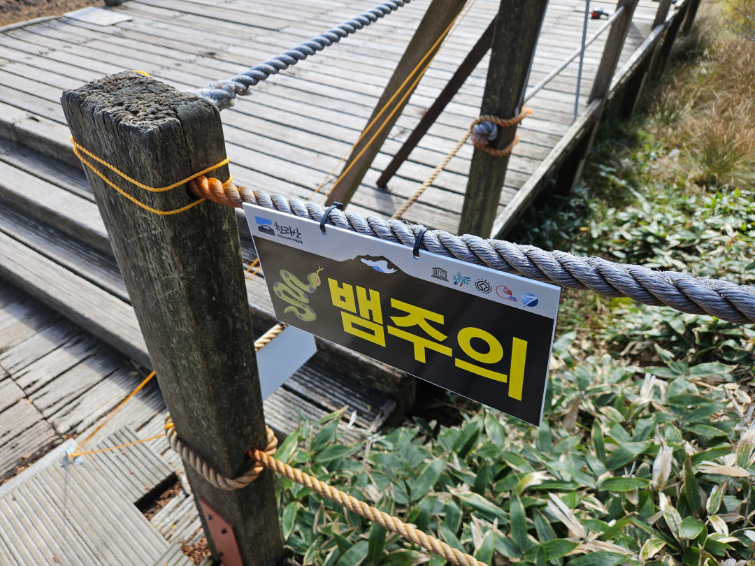 사라오름 물뱀