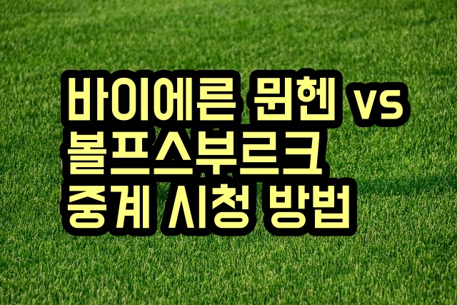 바이에른 뮌헨 볼프스부르크