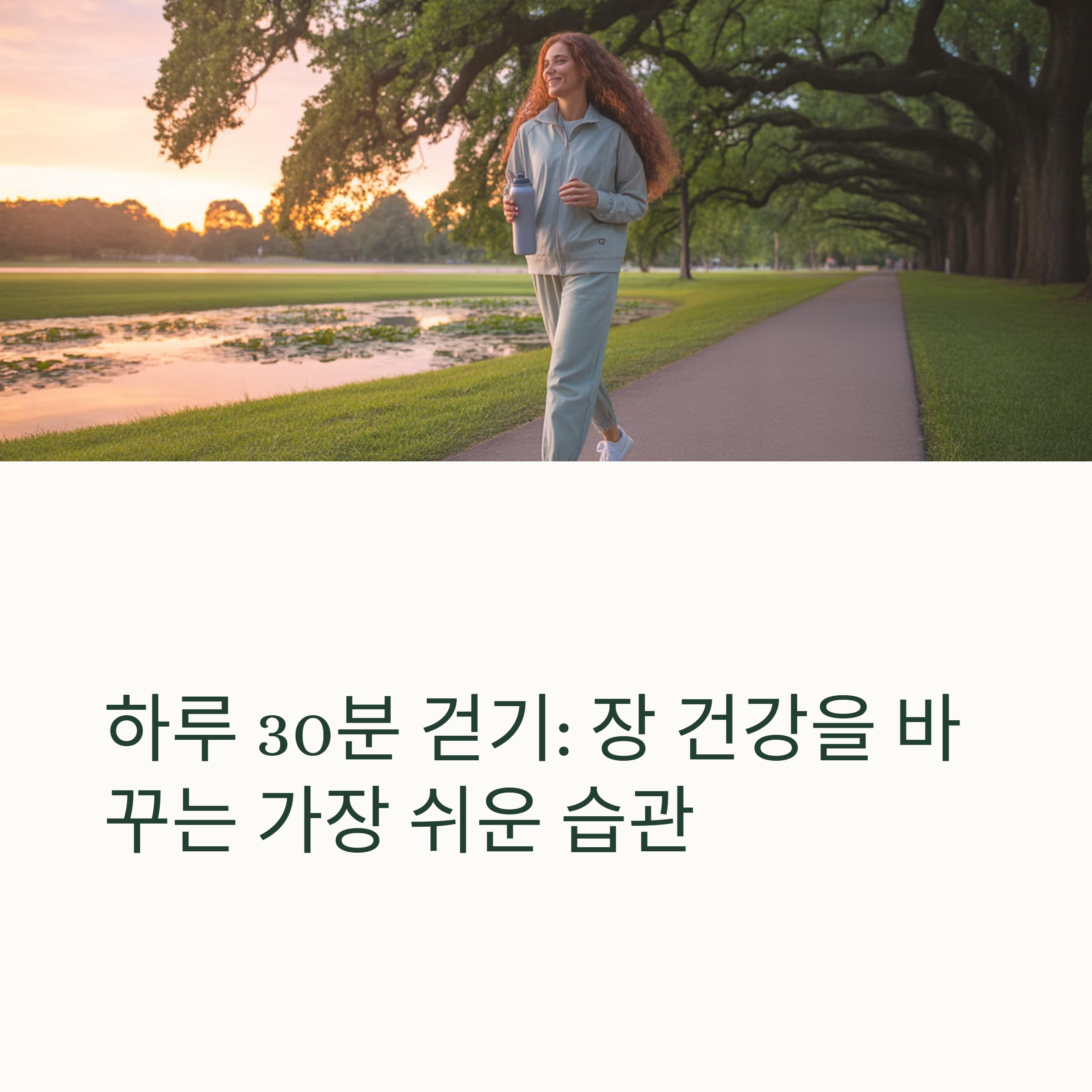 하루 30분 걷기: 장 건강을 바꾸는 가장 쉬운 습관 관련 사진