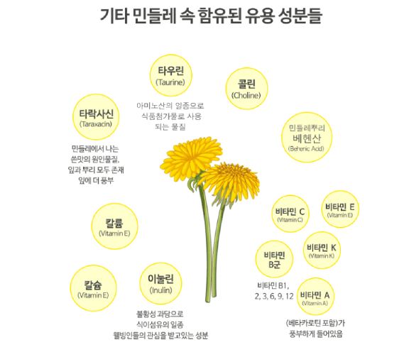 카미 가벼운 민들레처럼 효능&amp;#44; 내돈내산 다이어트 후기 (100% 환불 보장)