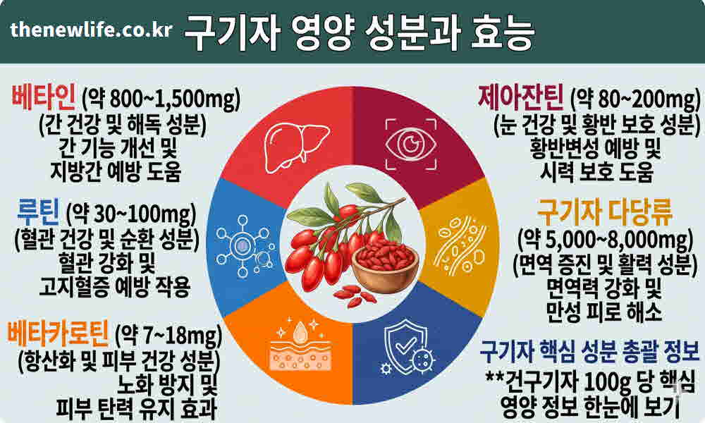 구기자 효능 영양성분