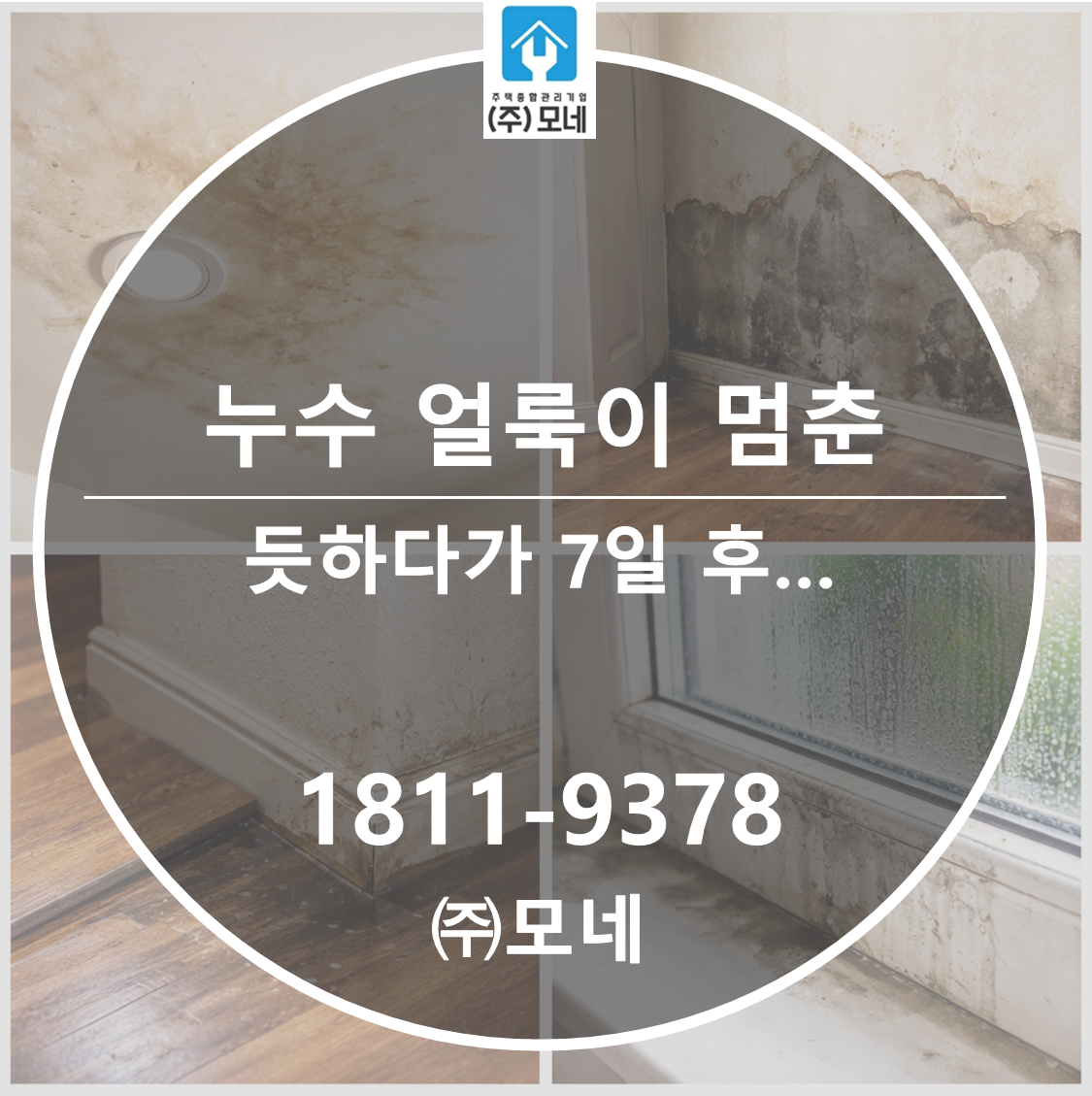 누수 얼룩이 멈춘 듯하다가 7일 후 다시 커지는 이유는 뭘까?