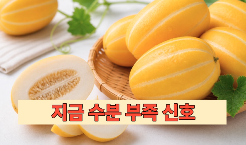 더위에 멈춤