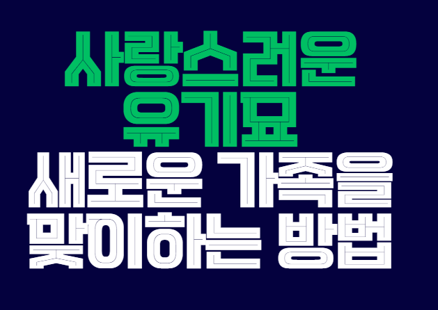 유기묘