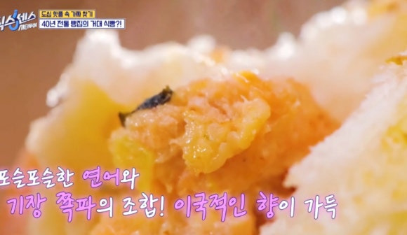 식스센스 시티투어 레전드 오브 빵 &ndash; 50cm 자이언트 식빵, 부산 빵지순례 옵스