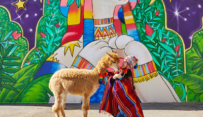노란우산공제 신청