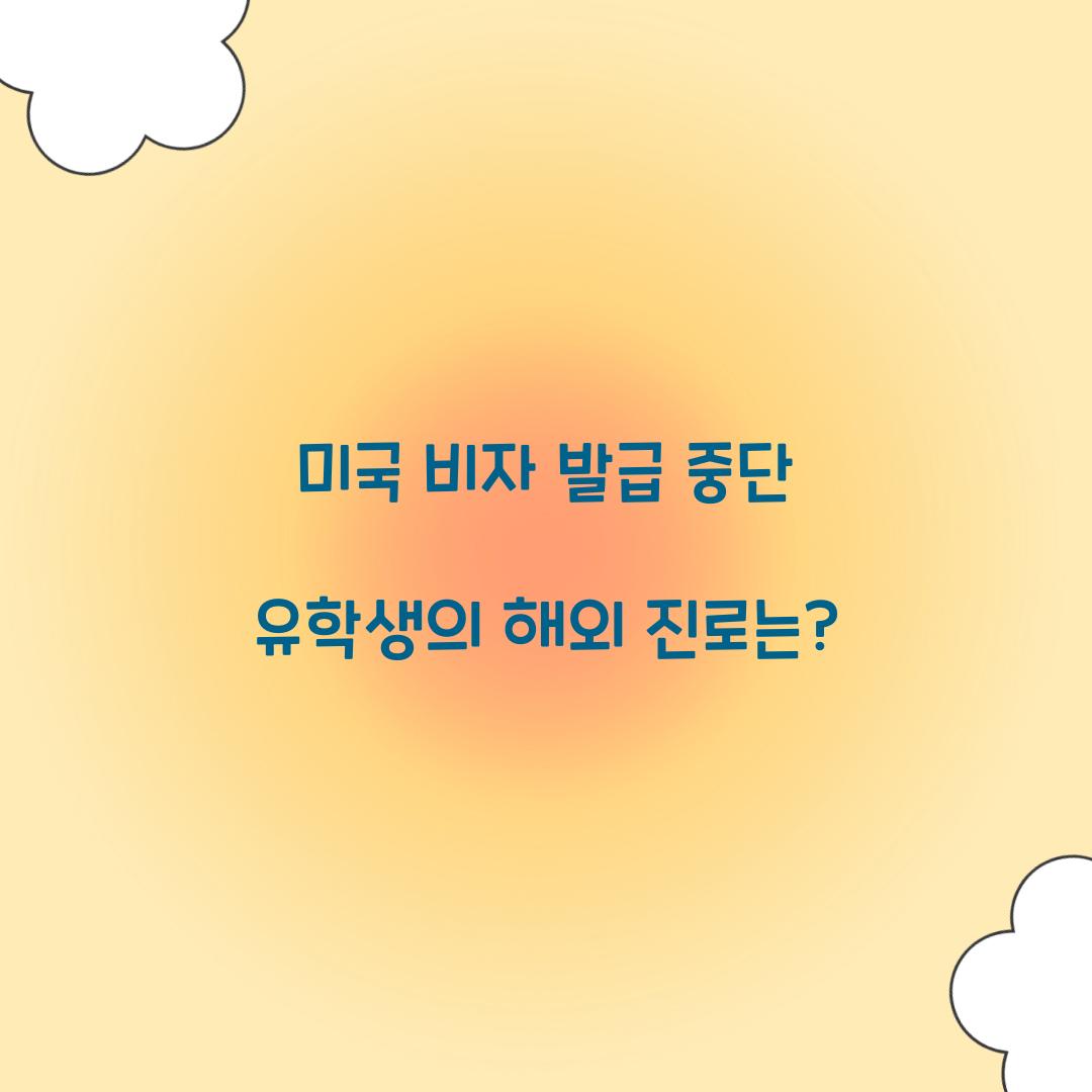 미국 비자 발급 중단