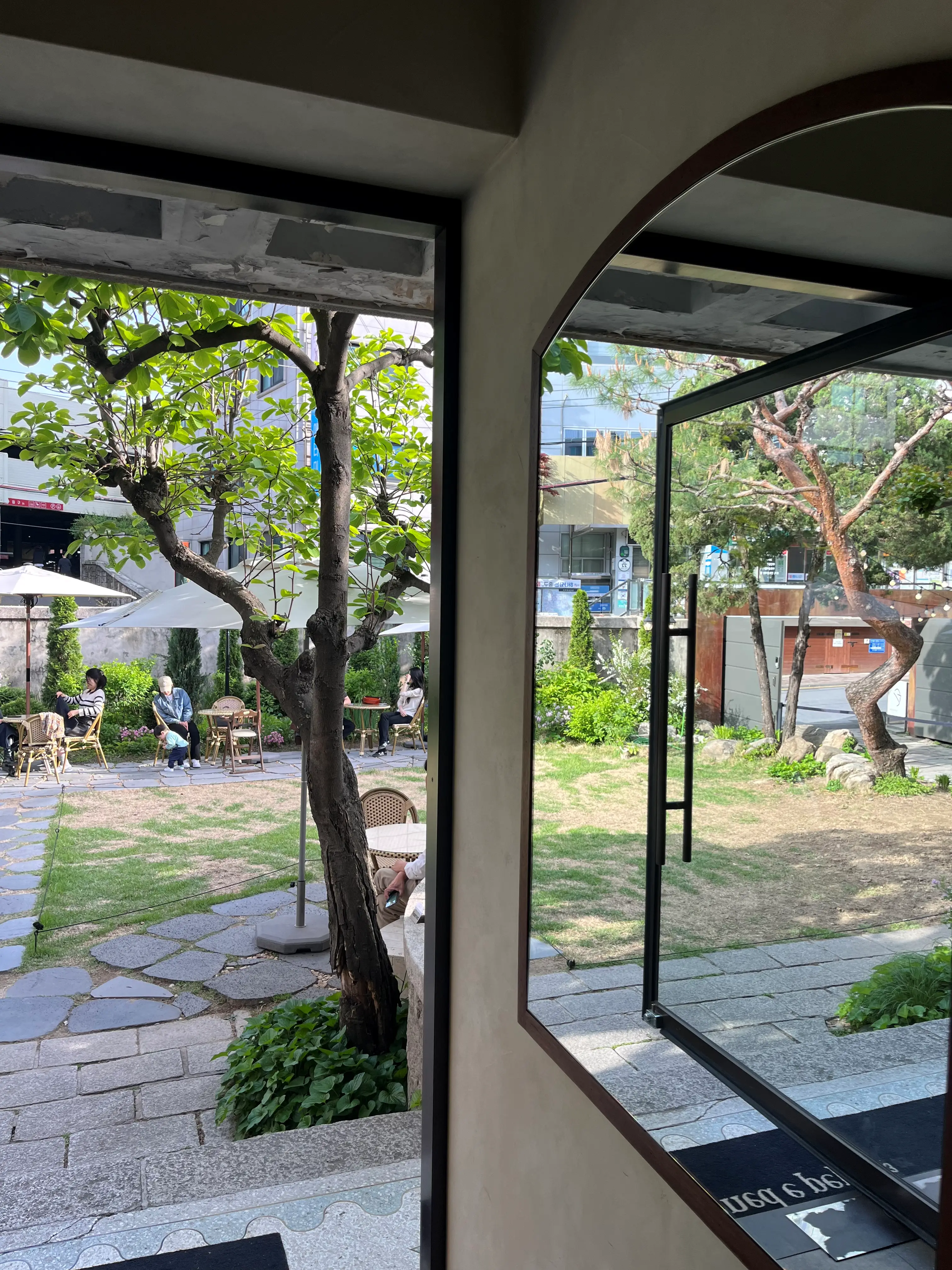 콘드에뻬뻬 앞마당