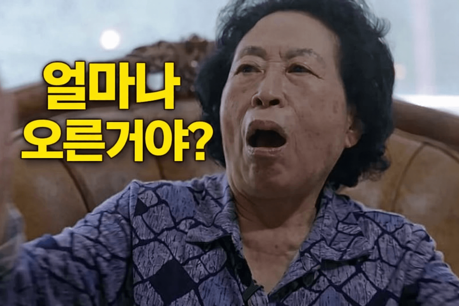 전원주 하이닉스 몇주일까? 평단 2만원대라는 말, 어디까지 사실일까