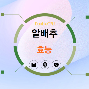 알배추 효능 탐구