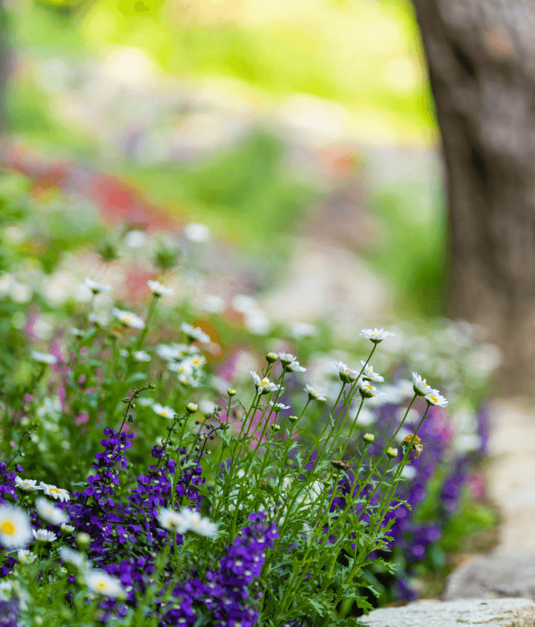 2025 화담숲 예약방법 총정리! 입장료&amp;#44; 모노레일&amp;#44; 교통&middot;주차&amp;#44; 할인 혜택