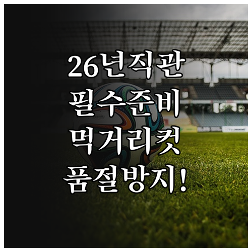 2026 랜더스필드 직관 준비물 및 ..