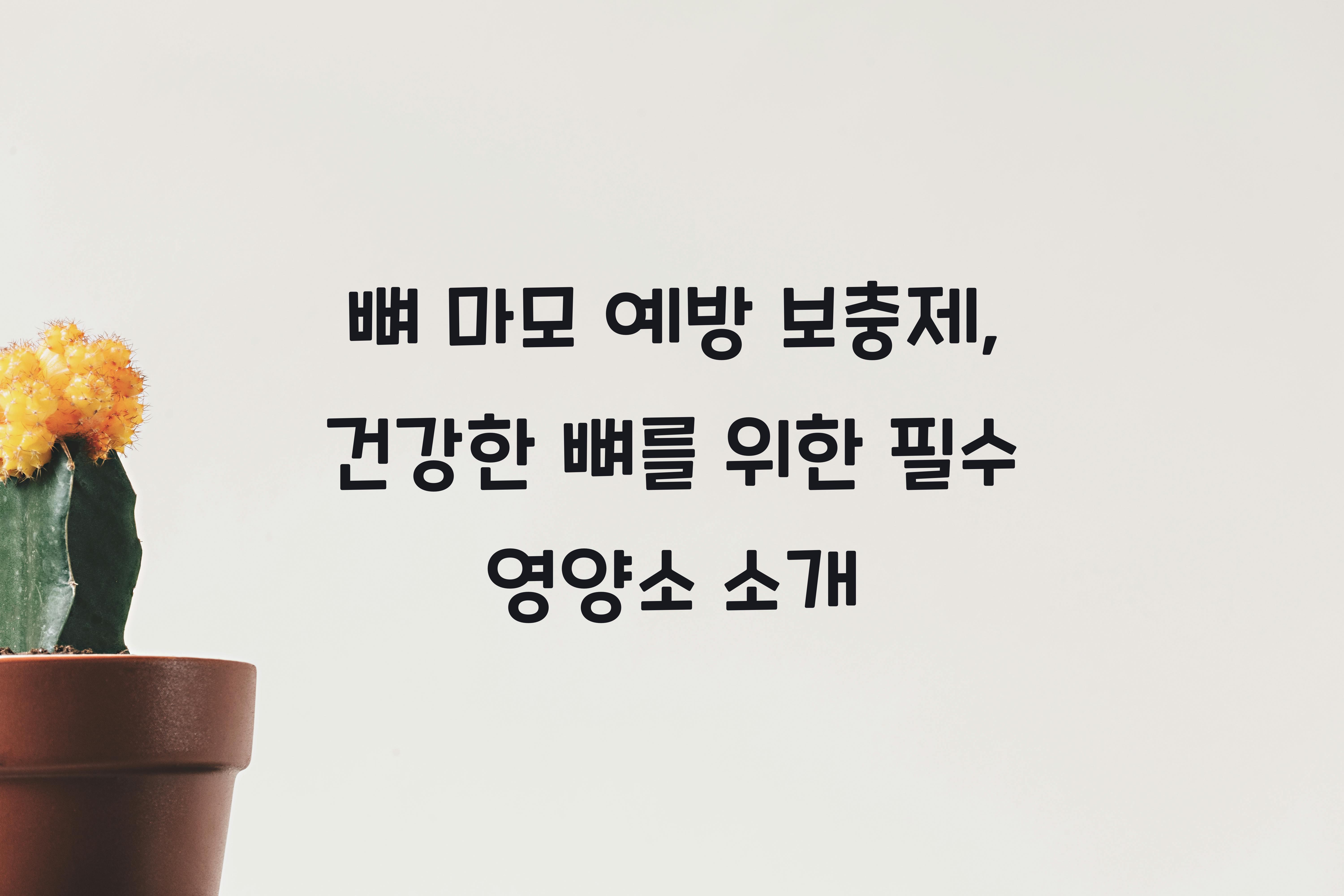 뼈 마모 예방 보충제