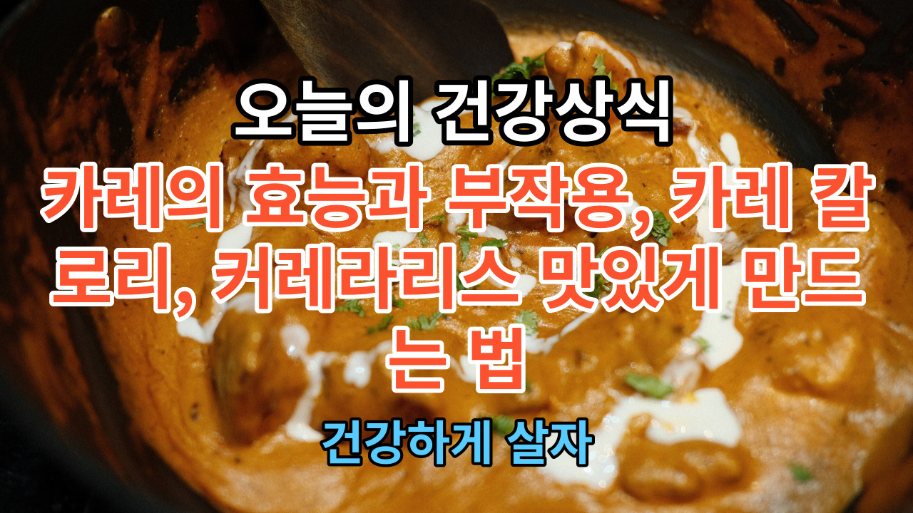 카레의 효능과 부작용, 카레 칼로리, 커레라리스 맛있게 만드는 법