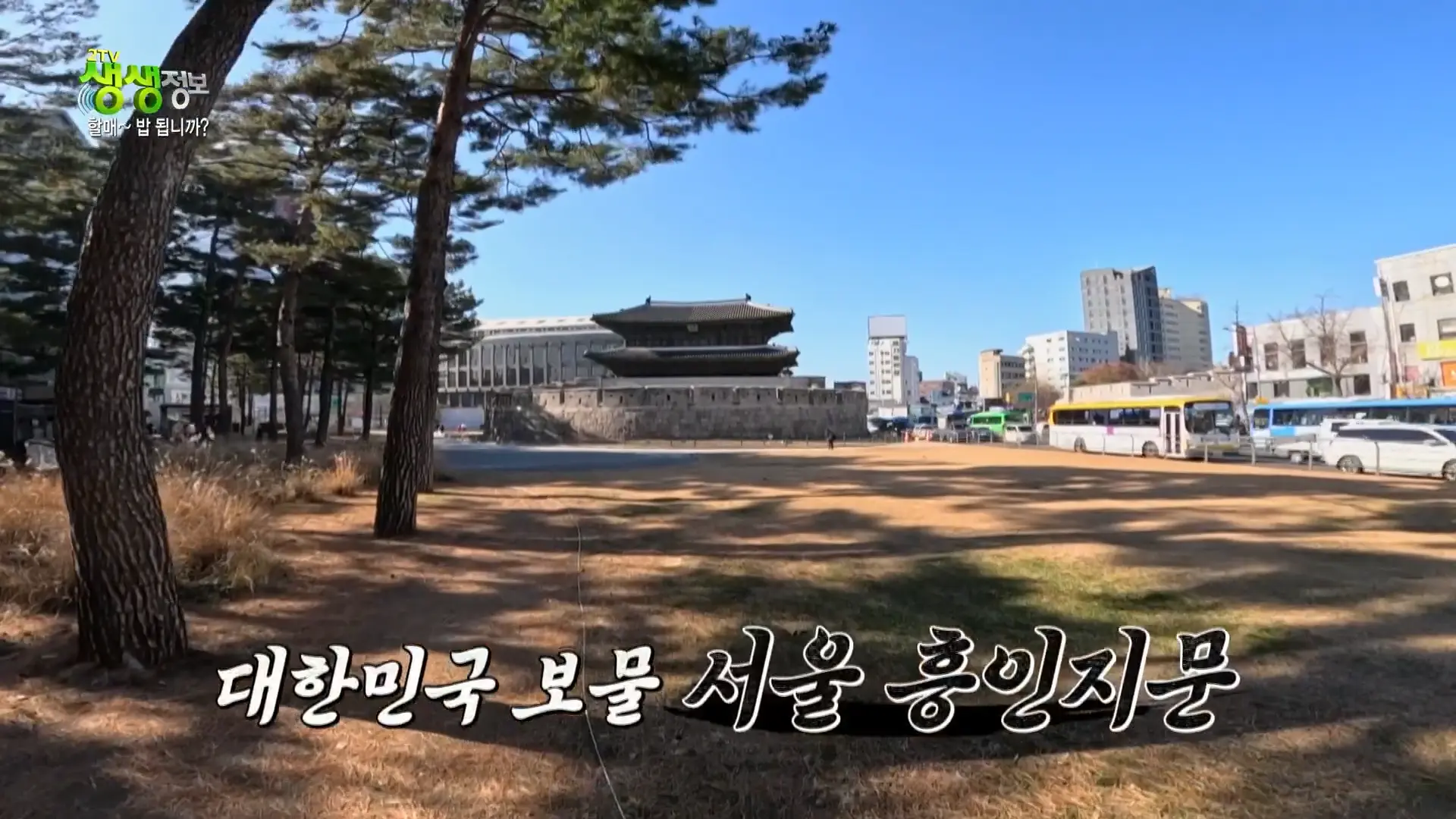 서울 종로구 동대문역 굴국밥 굴전 굴보쌈 맛집 남해굴국밥