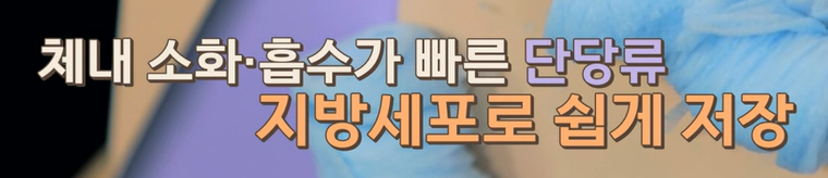 bnr17유산균 효능