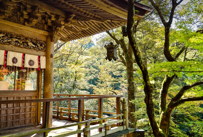 일본 도쿄 말고 가봐야 할 소도시 여행지 추천 (정취, 감성, 현지인 분위기)