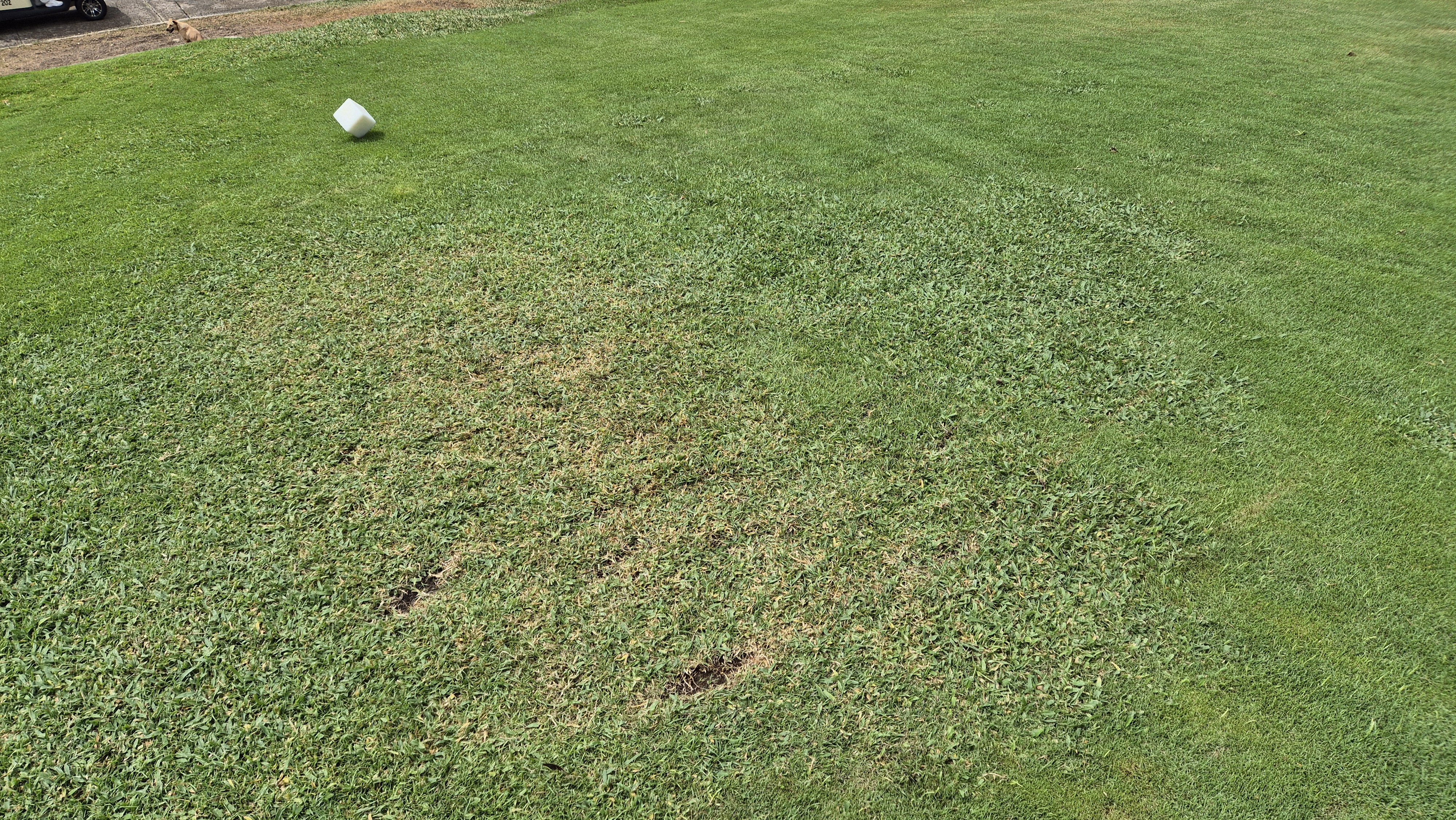 코랄오션cc 골프 라운드