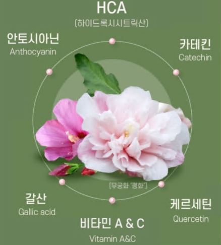 무궁핏-다이어트