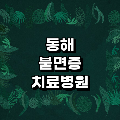 동해시 불면증