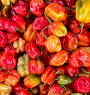 혈당 스파이크 증상 예방법 뜻