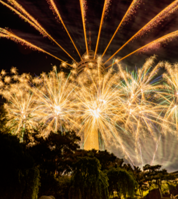 이월드벚꽃로드