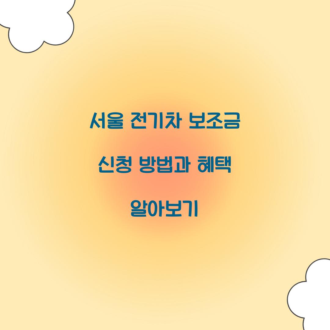 서울 전기차 보조금