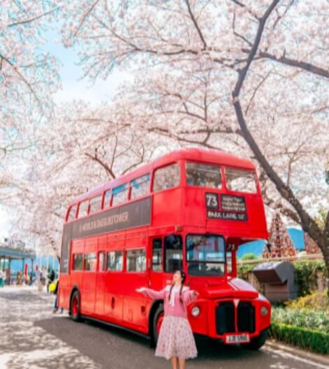 3월 국내 여행지 추천