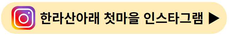 제주민속촌 수국축제