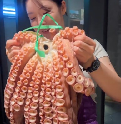 조서형 셰프 프로필