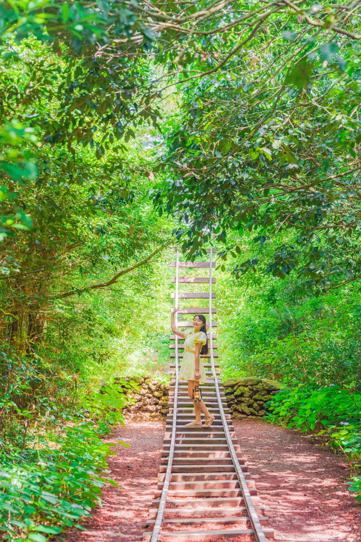 제주 산양큰엉곶