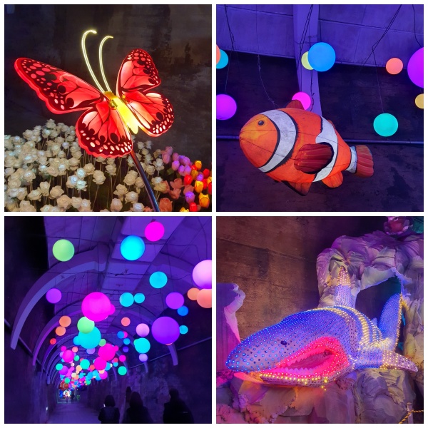 나비 니모 상어 조명