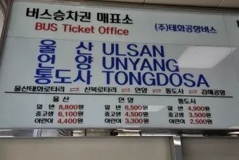 울산 공항 공항버스 리무진 시간표 예매 요금 타는곳_15