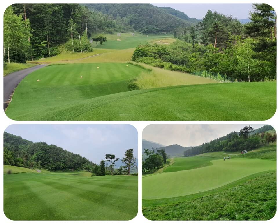 골프장 경험담 홍천 세이지우드cc 사람이 가장 쾌적함을 느끼는 해발 765m에서 경험하는 자연, 골프, 쉼
