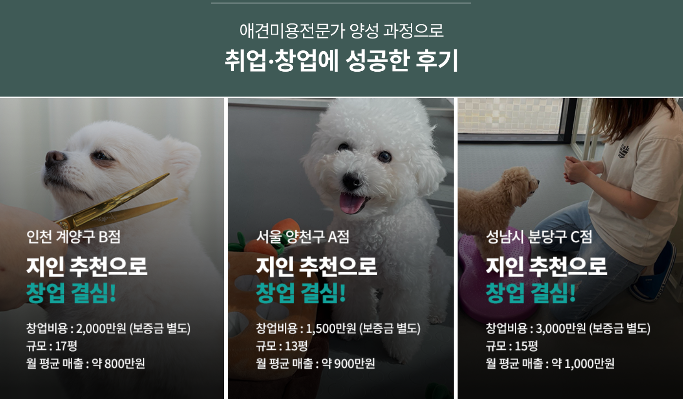 애완미용사