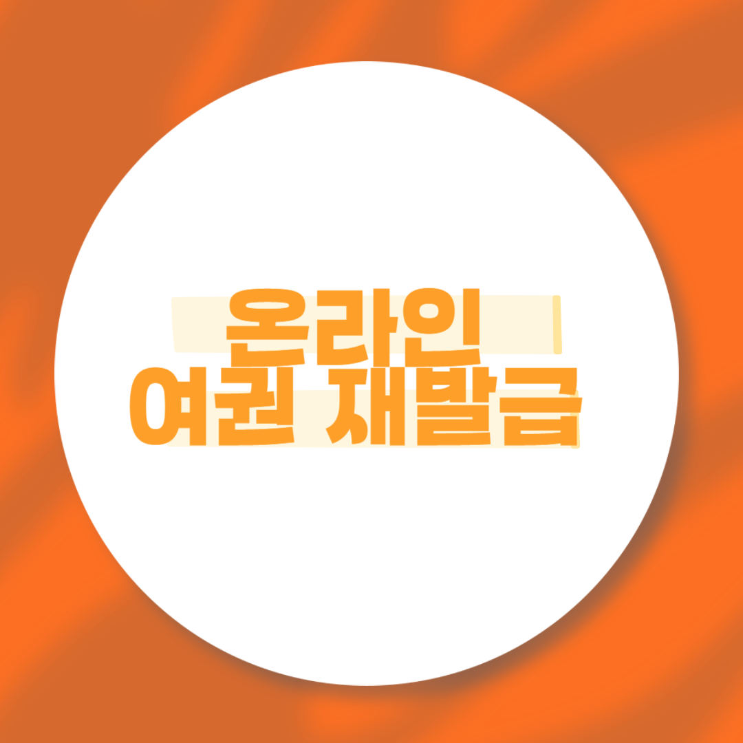 온라인 여권 재발급