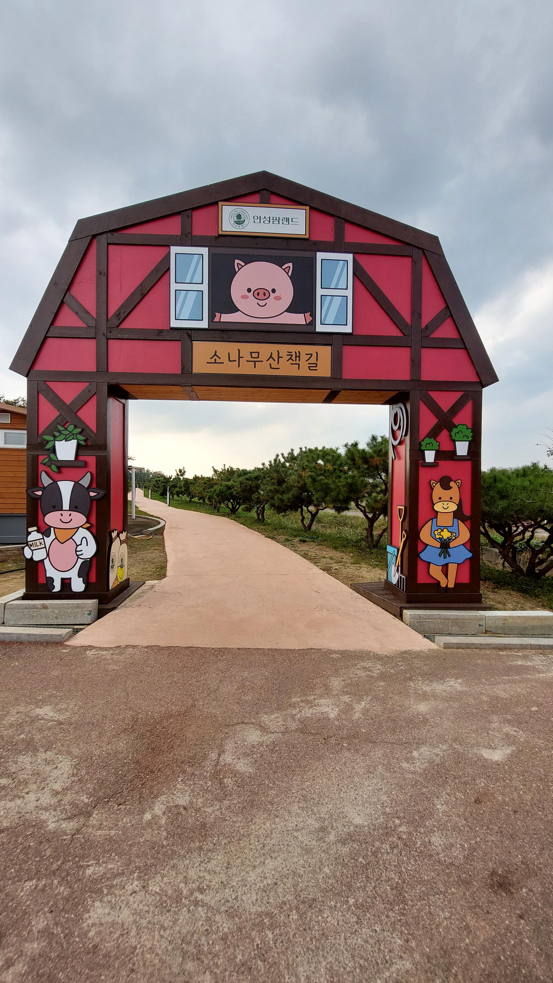 안성팜랜드 소나무길