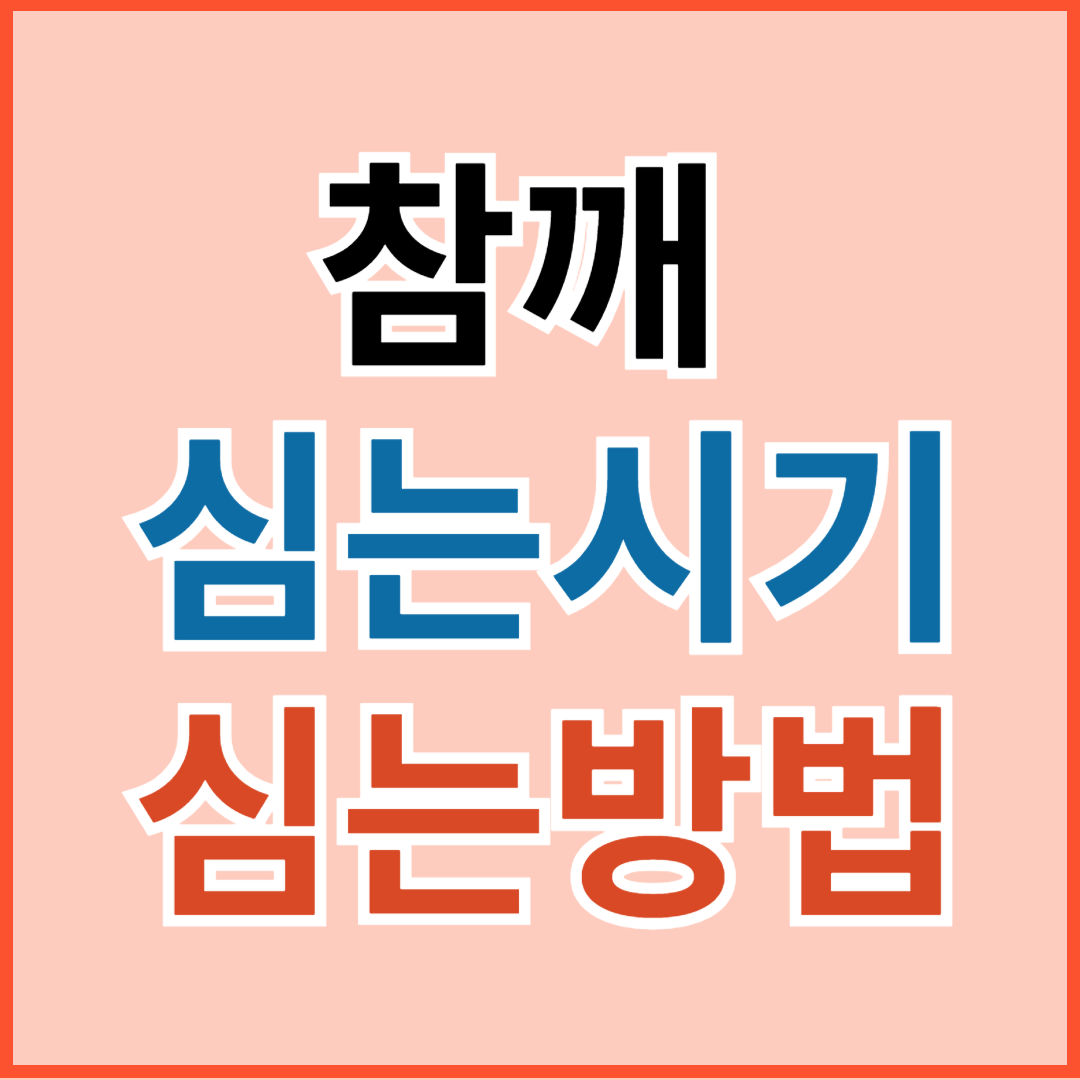 남부, 중부지방 참깨 심는 시기, 파종 시기, 심는 방법, 재배 방법 알아 보기